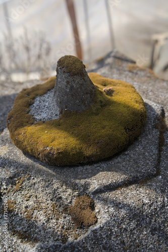 苔の生す灯篭