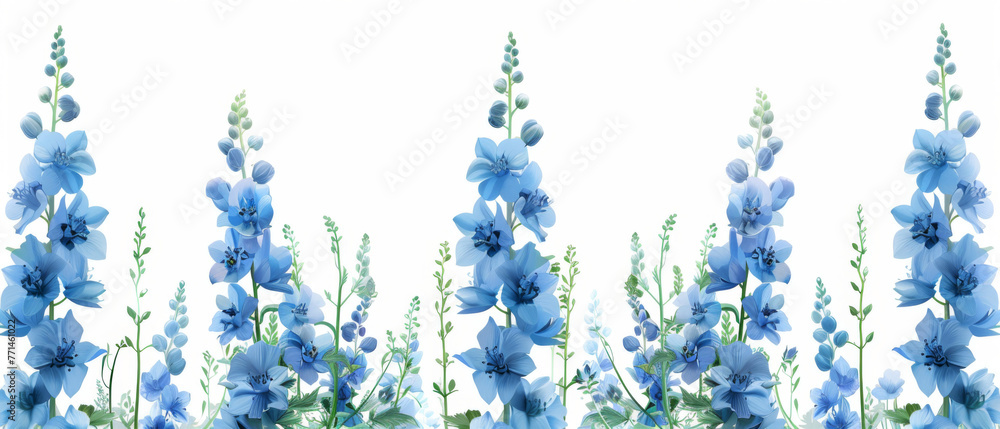 Lush blue delphinium flowers against a soft background. Lush blue delphinium flowers against a soft background.