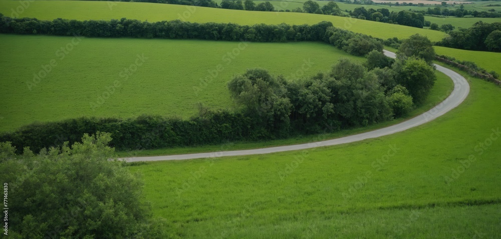 Lush Green Countryside with Winding Country Roads