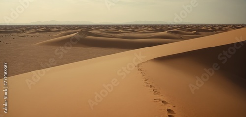 Desert Landscape with Sand Dunes stretching to the Horizon
