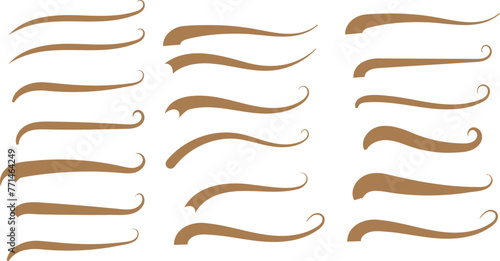 Calligraphic swoosh underline. Retro underline swooshes tails and athletic typography. Underlines lettering lines, vector illustration