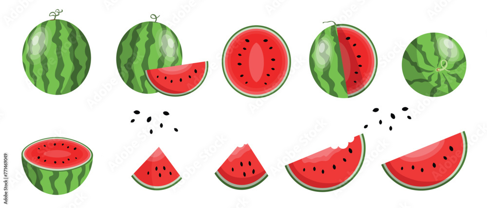 Vector Watermelon collection isolated on white background. Fresh watermelon fruit set design elements. Fresh whole, cut and sliced watermelon set Juicy fruit. Vector design elements or background. Vector Watermelon collection isolated on white background. Fresh watermelon fruit set design elements. Fresh whole, cut and sliced watermelon set Juicy fruit. Vector design elements or background.