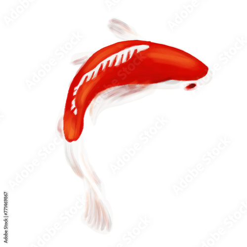 Koi fish on transparency background