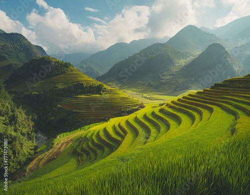 Beautiful green landscape with rice fields terraces, mountains in background.  photo