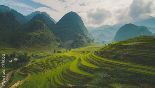 Beautiful green landscape with rice fields terraces, mountains in background. 
