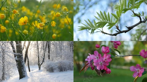 Seasons - collage with the image of nature at different times of the year. A beautiful collage - autumn, winter, spring, summer - four seasons.