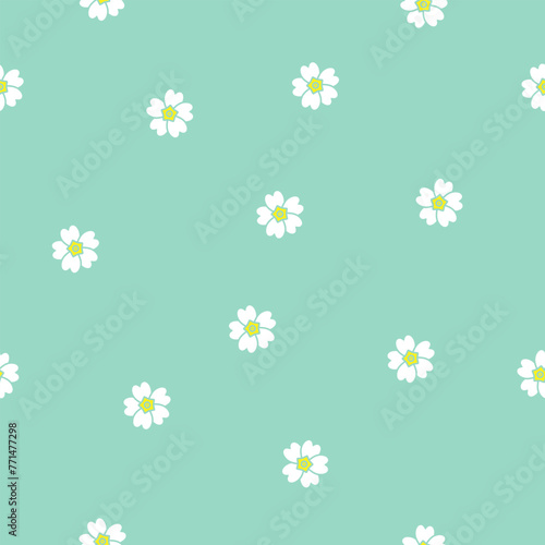 Romantic white Primula flowers. Seamless pattern. photo