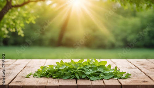 Empty wooden table in nature outdoor and  green juicy young foliage 6