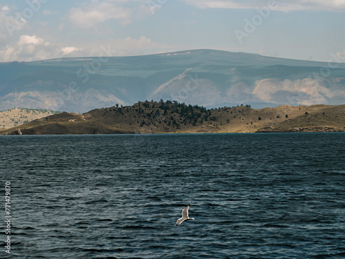A flying bird on the steep seashore of Lake Baikal