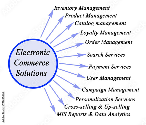 Twelve Electronic Commerce Solutions
