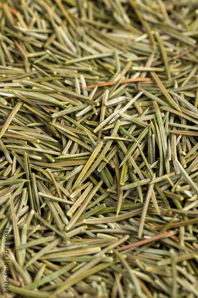 sharp dry needles from the Christmas tree sharp dry needles from the Christmas tree