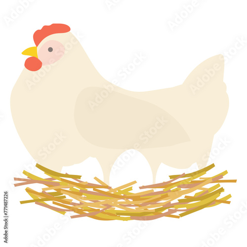 One hen holding eggs in the nest