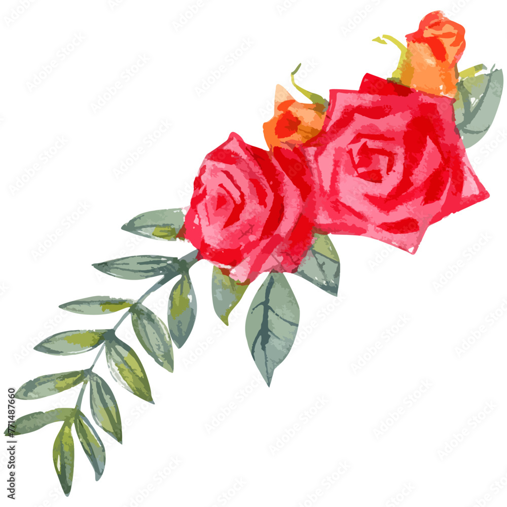 Vector watercolor illustration of rose flower sketch isolated on white ...