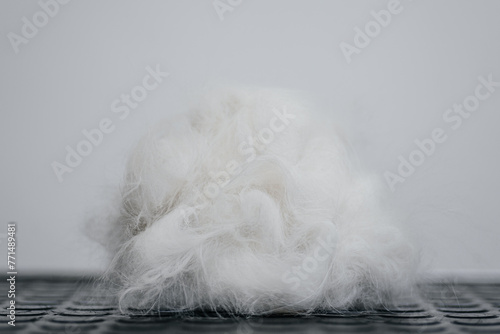 Foto lump of white cat hair