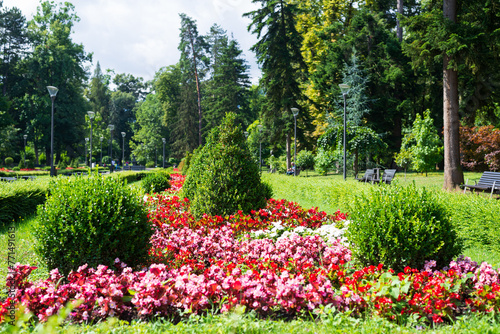 Public park with lush flowers, plants, grass, trees and bushes in summer - detail