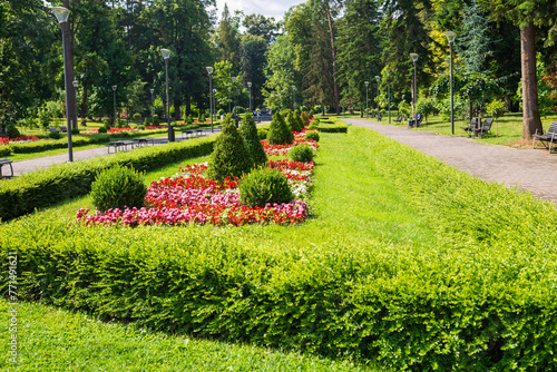 Public park with lush flowers, plants, grass, trees and bushes in summer