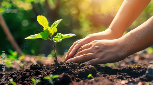Planting a tree is a symbolic gesture of hope and growth. It represents our connection to the earth and our responsibility to protect it.