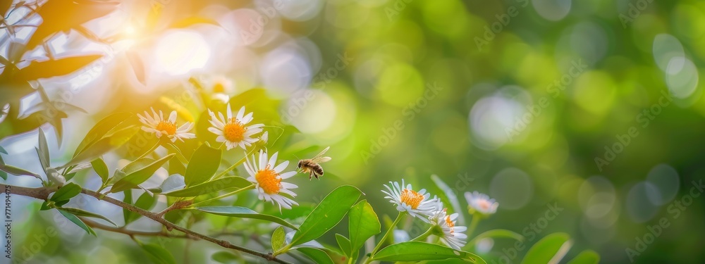 Obraz premium Beautiful natural background with orange tree foliage and flowers and a bee outdoors in nature.