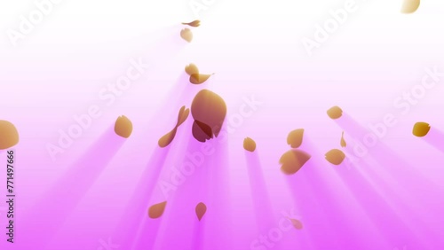 さくら　少　ボリュームライト