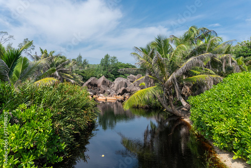 La Digue freshwater pond, Seychelles