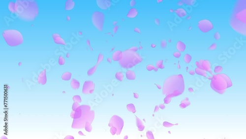 さくら　多 　青背景