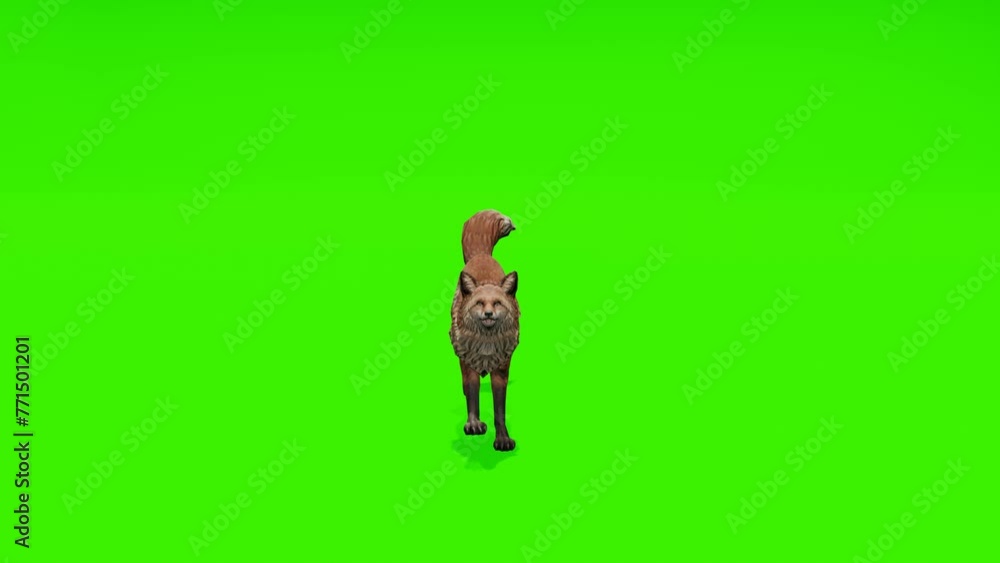 Continuous loop: Captivating scene of a fox running gracefully against a lush green backdrop. Perfect for creating lively visual content. Continuous loop: Captivating scene of a fox running gracefully against a lush green backdrop. Perfect for creating lively visual content.