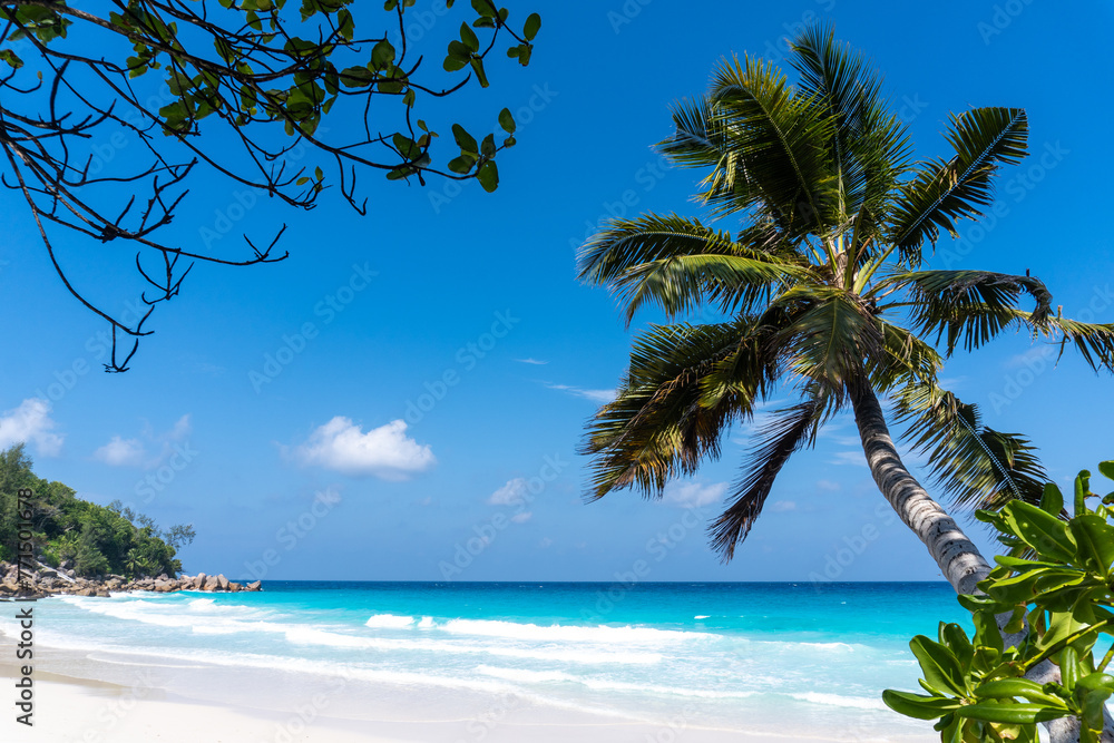 Anse Georgette on Praslin island, Seychelles Anse Georgette on Praslin island, Seychelles
