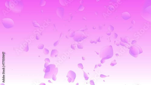 さくら　多 　ピンク背景