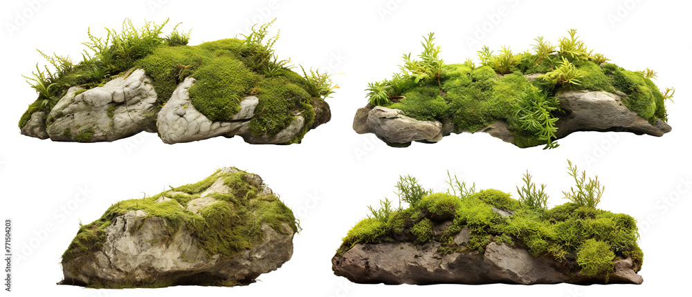 Fototapeta premium Set of moss-covered rocks in natural settings, cut out