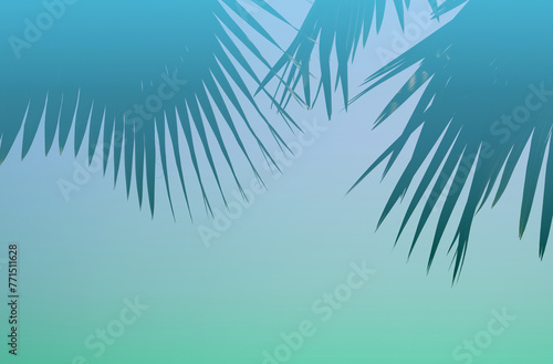 Palm leaves in fresh and clear blue sky of spring atmosphere. Aesthetic spring nature border background.