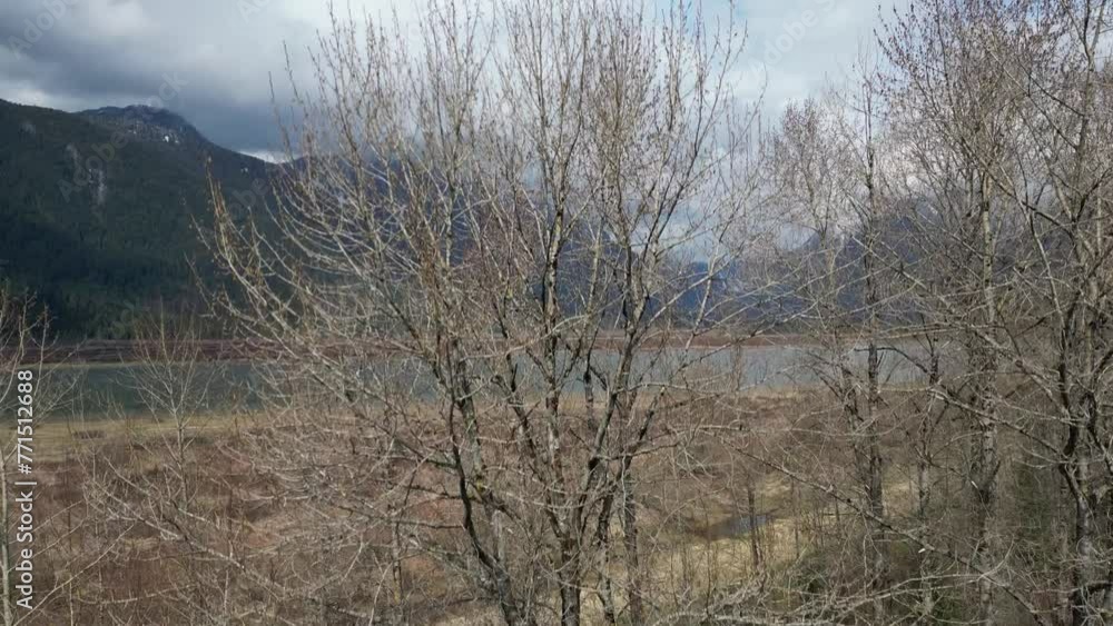 Aerial of a calm lake surrounded by the big mountains and the naked trees on a gloomy day Aerial of a calm lake surrounded by the big mountains and the naked trees on a gloomy day
