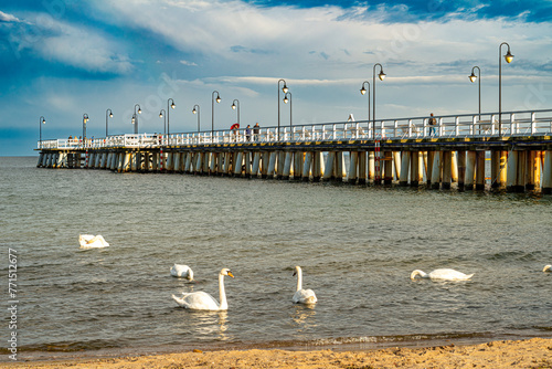 pier in the nord baltic sea Sea ahoy! Bridges Along the Baltic Sea Coast