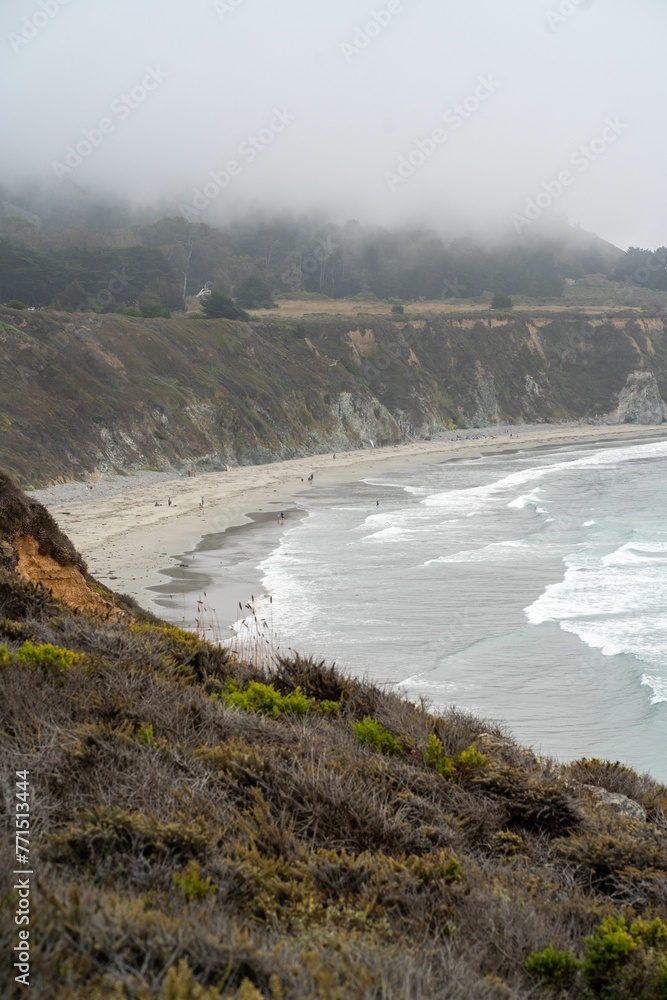 Closeup of  North California Beach, on a Foggy Summer Day