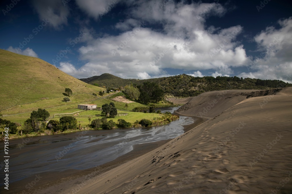 Fototapeta premium Bethells Beach sand dunes near Auckland