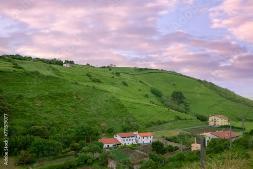 Rural landscapes with some houses in the middle of a green field at sunset with pink clouds. photo