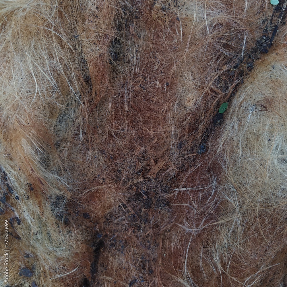 fishing nets fishing nets