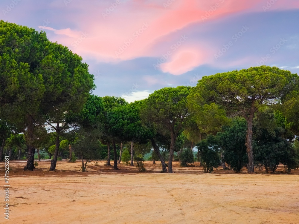 Scenic outdoor shot of a sunset sky over the trees in Little Lagoon, Sesimbra, Portugal