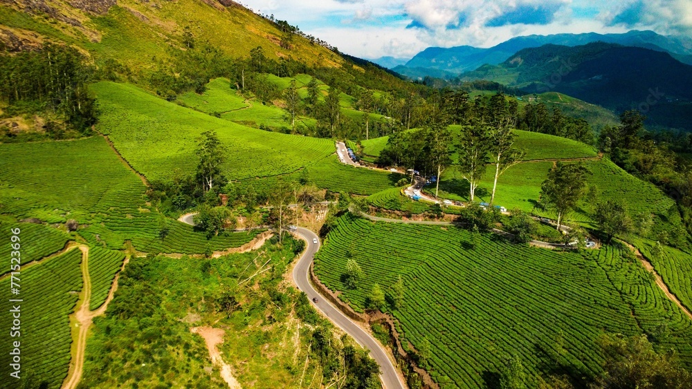 Aerial view of greenery field surrounded by dense trees Aerial view of greenery field surrounded by dense trees