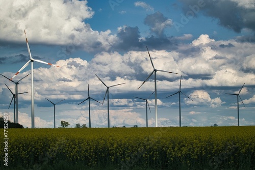 Landscape of a field of yellow flowers with a line of windmills against a backdrop of fluffy clouds