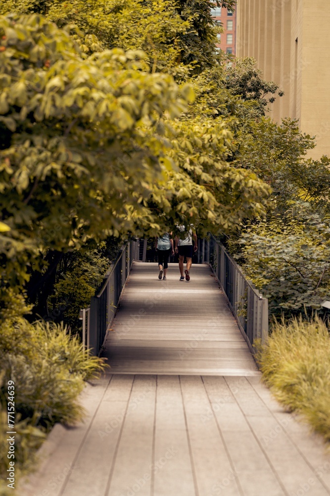 a back view of two people jogging in a park