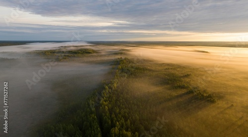 View over golden sunrise light fog-clad peatland and drumlins post-glacial wilderness landscape