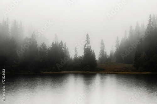 a lake with several trees in the background that is shry © Wirestock