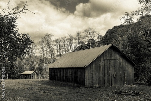 Wallpaper Mural Grayscale of rustic wooden barn in the middle of a meadow, surrounded by lush vegetation Torontodigital.ca