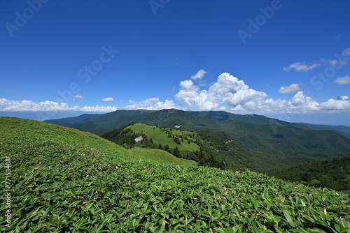 Scenic view of green mountains on a sunny day © Wirestock