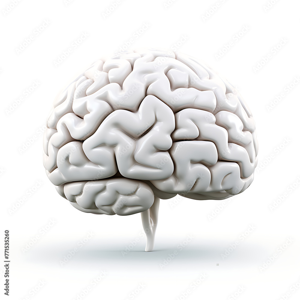 Brain on White Background Isolated. Generative Ai Brain on White Background Isolated. Generative Ai