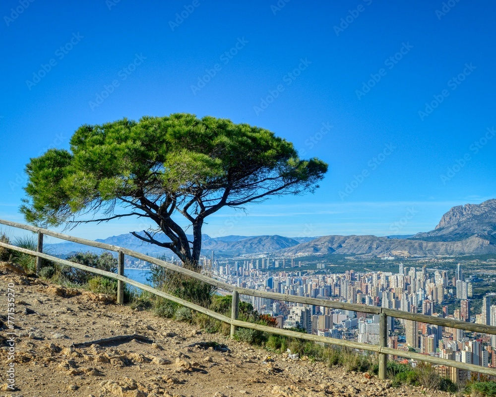 Wooden fence with a mountainous backdrop, with one tree