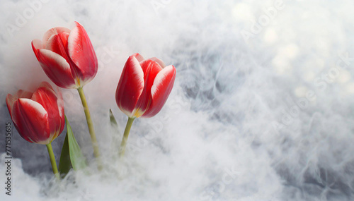 Tapeta, czerwone tulipany. Wiosna, piękne kwiaty