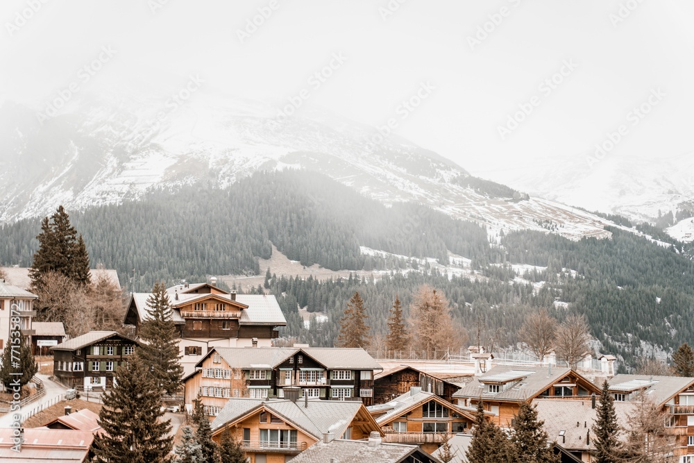 a mountain village surrounded by a group of pine trees in the snow