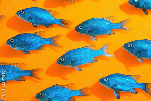 Group of Blue Fish Swimming in a School on Bright Orange Background in Ocean Wildlife Concept