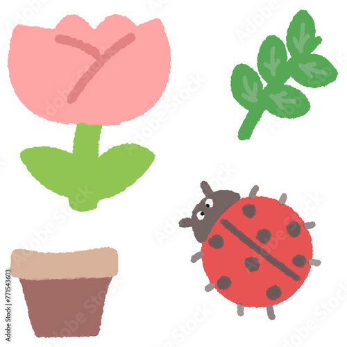 i found ladybug in my garden